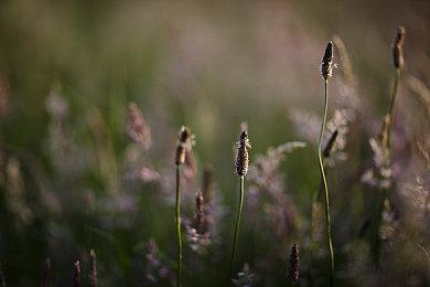 女玩家抱怨玩《生化危机4》VR版 总是撞到胸部